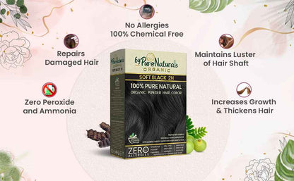 byPureNaturals 100% Organic Pure Natural Powder Hair Color- 120 Gm