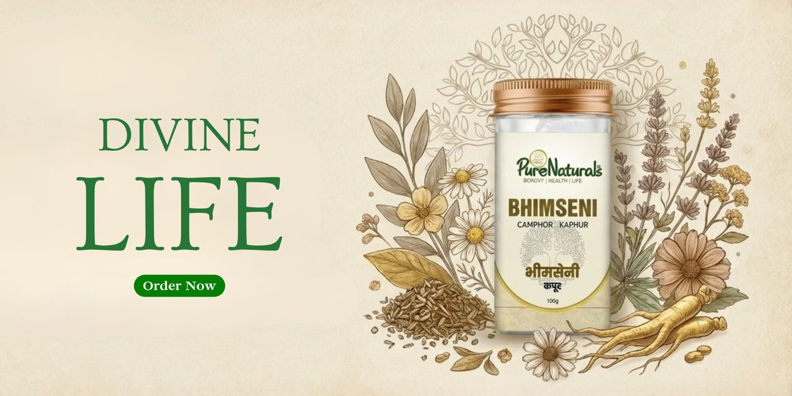 Purenatural Divine Life