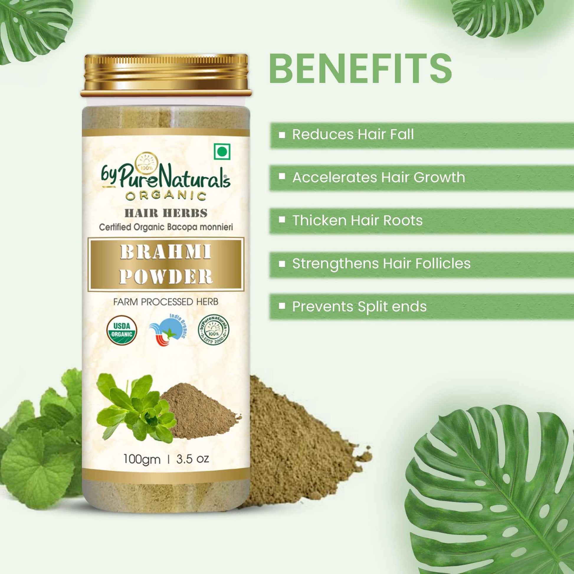 byPureNaturals 100% Organic Brahmi Powder- 100 Gm